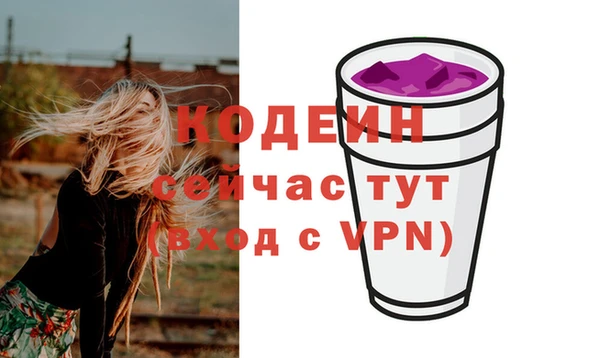 ГАЛЛЮЦИНОГЕННЫЕ ГРИБЫ Семёнов