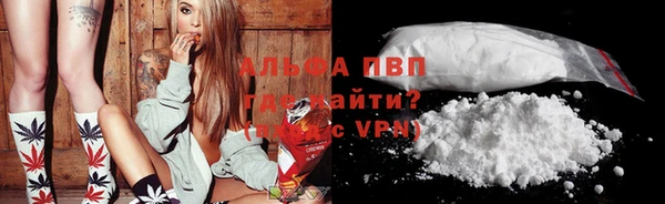 индика Семилуки