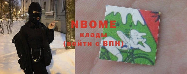 индика Семилуки