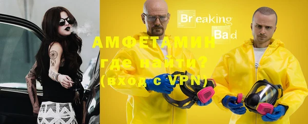 индика Семилуки