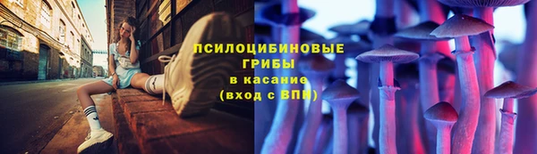 индика Семикаракорск